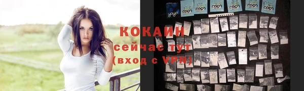 шишки Абдулино