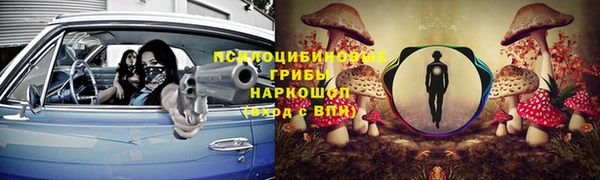 трава Алзамай